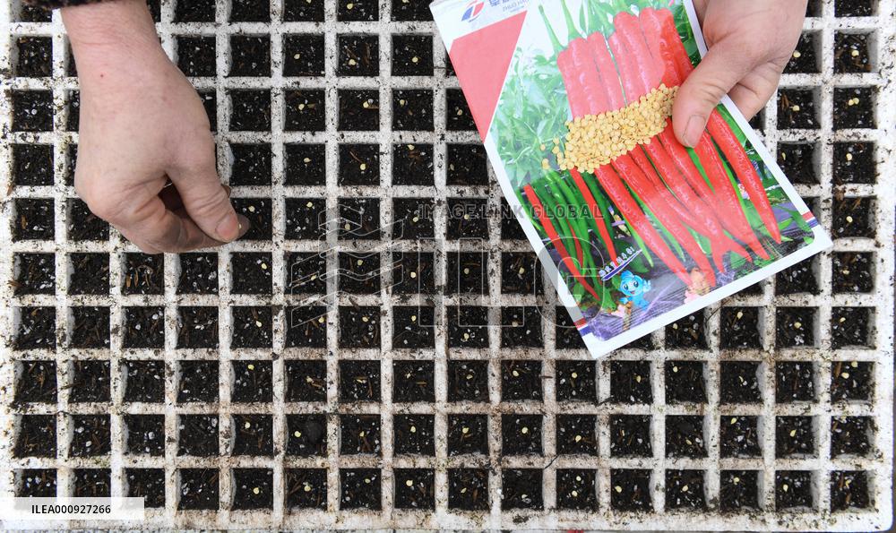 #CHINA-GUIZHOU-SPRING FARMING (CN)