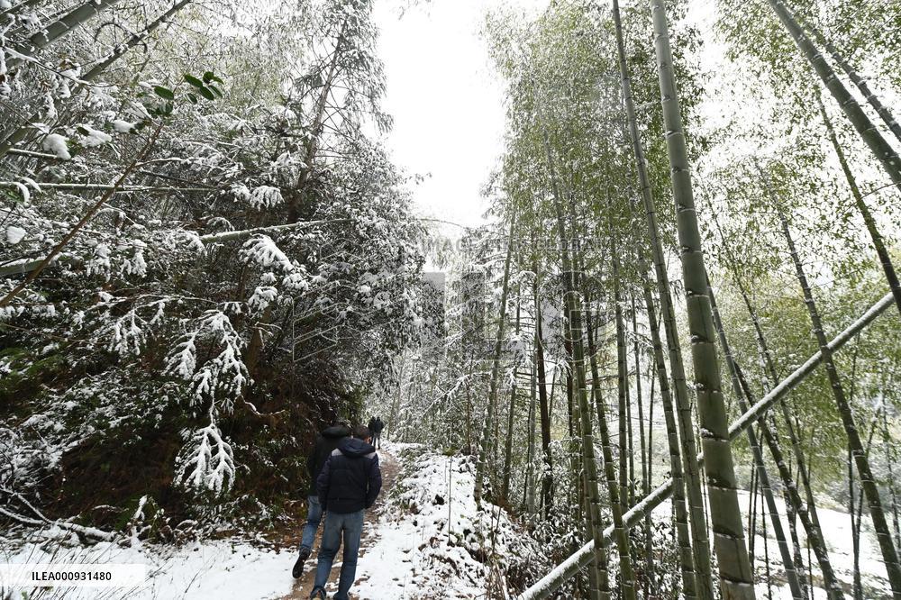 CHINA-FUJIAN-SNOW-SCENERY (CN)
