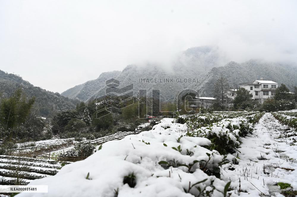 CHINA-FUJIAN-SNOW-SCENERY (CN)