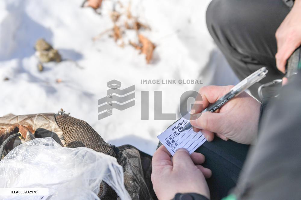 CHINA-JILIN-WILD ANIMALS-PROTECTION (CN)