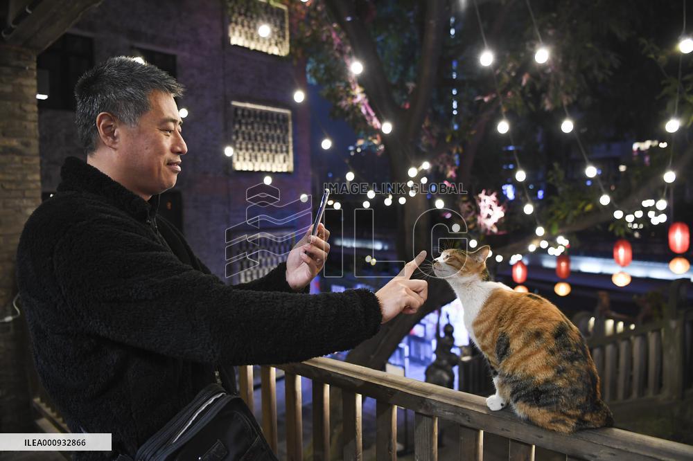 CHINA-CHONGQING-HISTORICAL AREA-RENOVATION (CN)