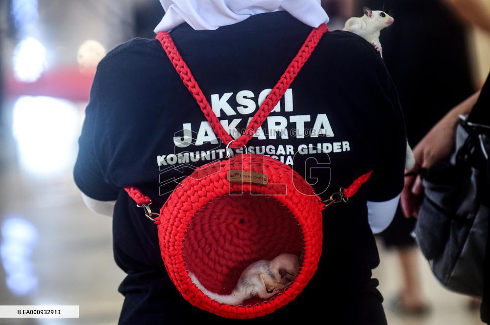 INDONESIA-TANGERANG-SUGAR GLIDER-REGIONAL COMPETITION