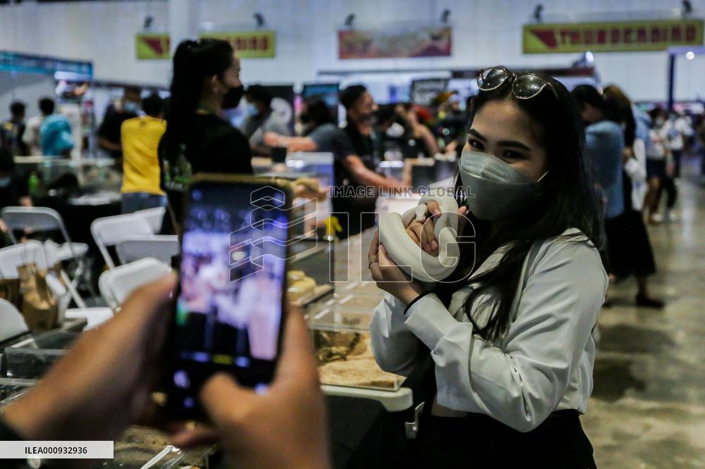 PHILIPPINES-PASAY CITY-ANIMAL FAIR