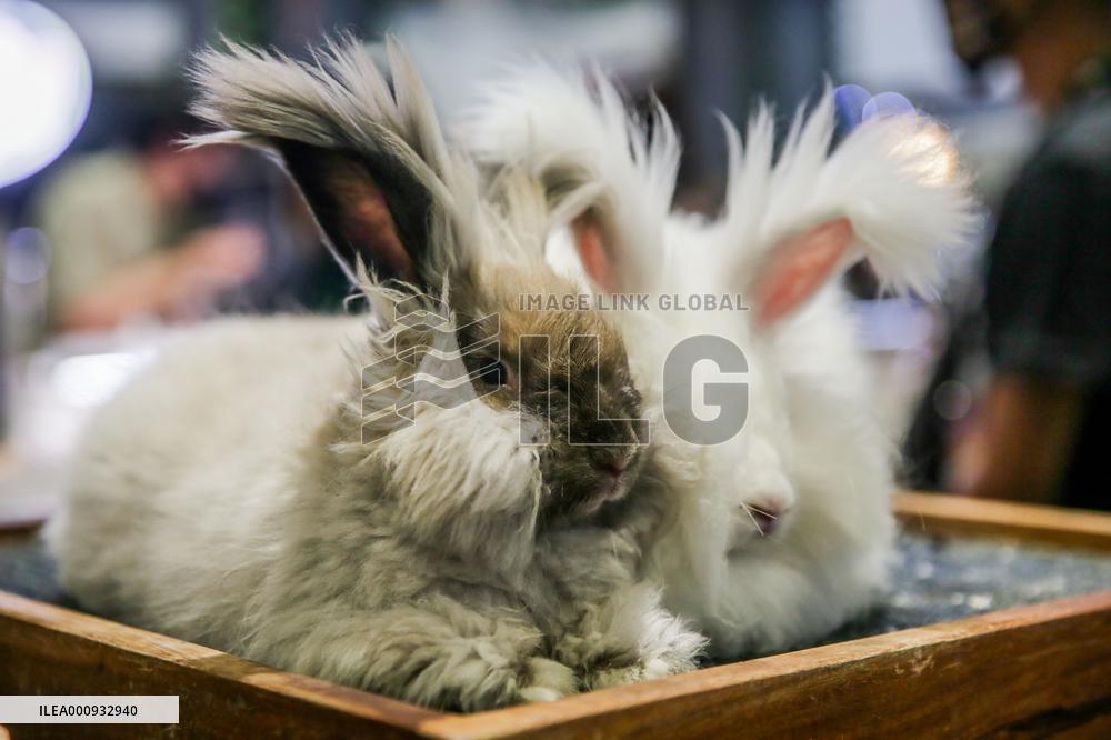 PHILIPPINES-PASAY CITY-ANIMAL FAIR