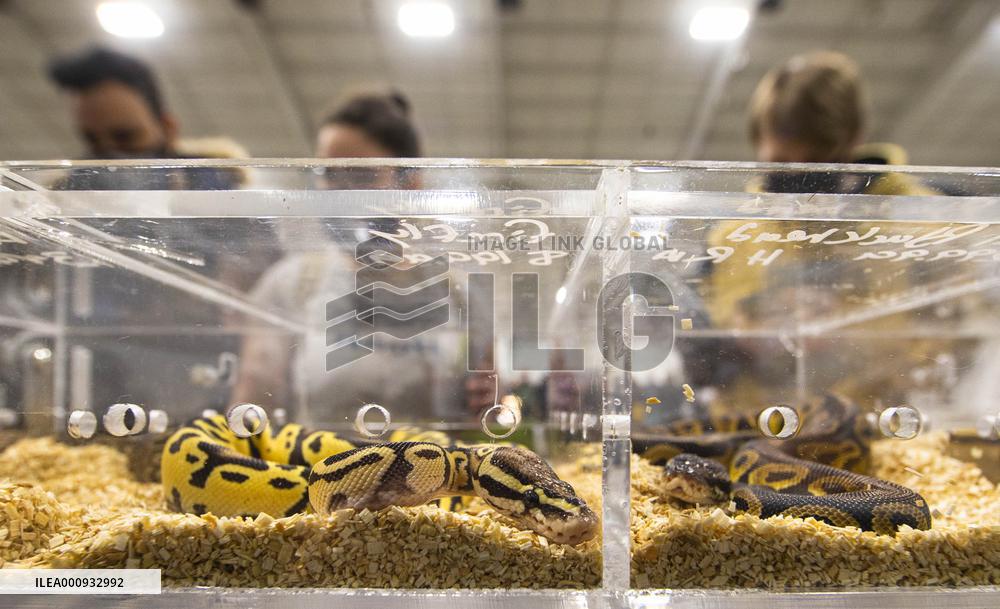 CANADA-MISSISSAUGA-REPTILE EXPO