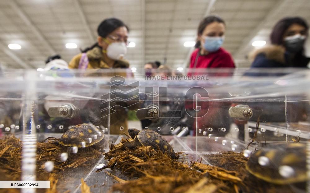 CANADA-MISSISSAUGA-REPTILE EXPO