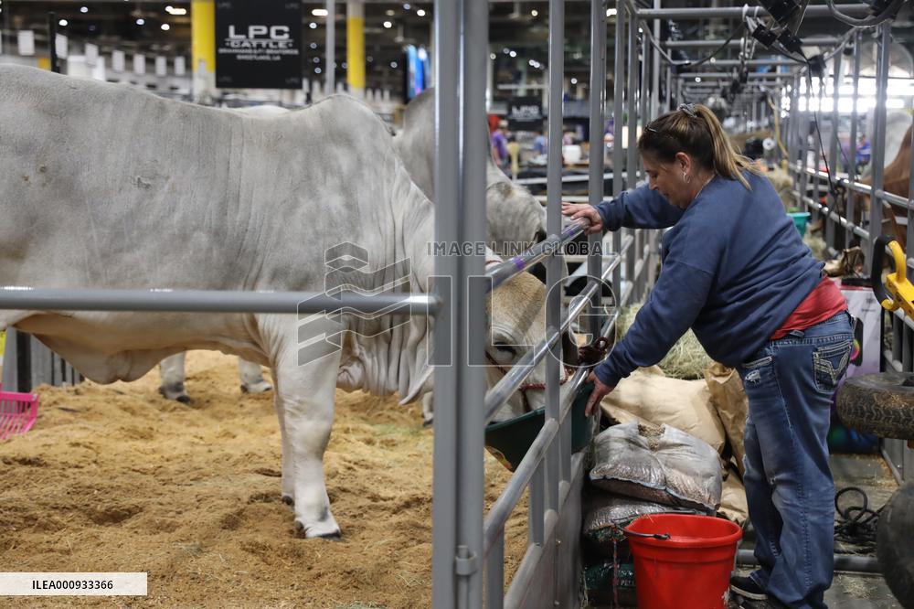 U.S.-TEXAS-HOUSTON LIVESTOCK SHOW AND RODEO-OPENING