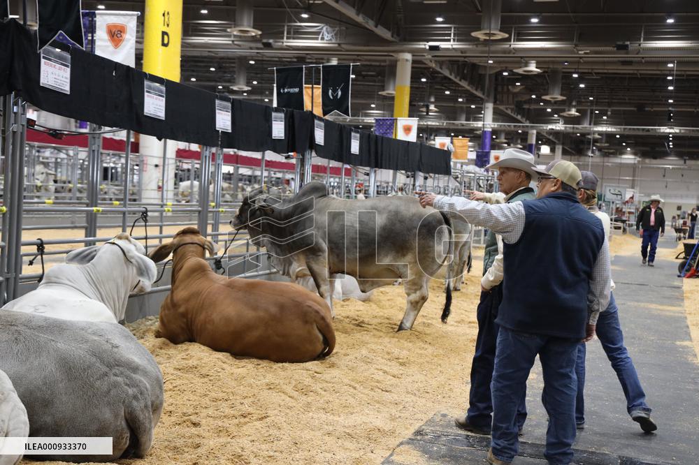 U.S.-TEXAS-HOUSTON LIVESTOCK SHOW AND RODEO-OPENING