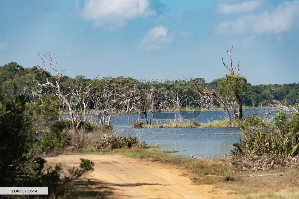 SRI LANKA-WILPATTU NATIONAL PARK