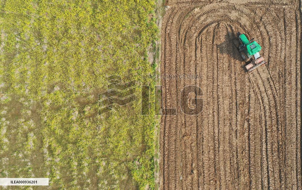 CHINA-JIANGXI-NANCHANG-FARMER(CN)