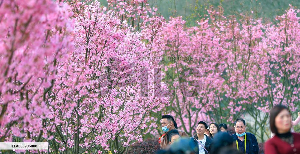 #CHINA-SPRING-SCENERY (CN)