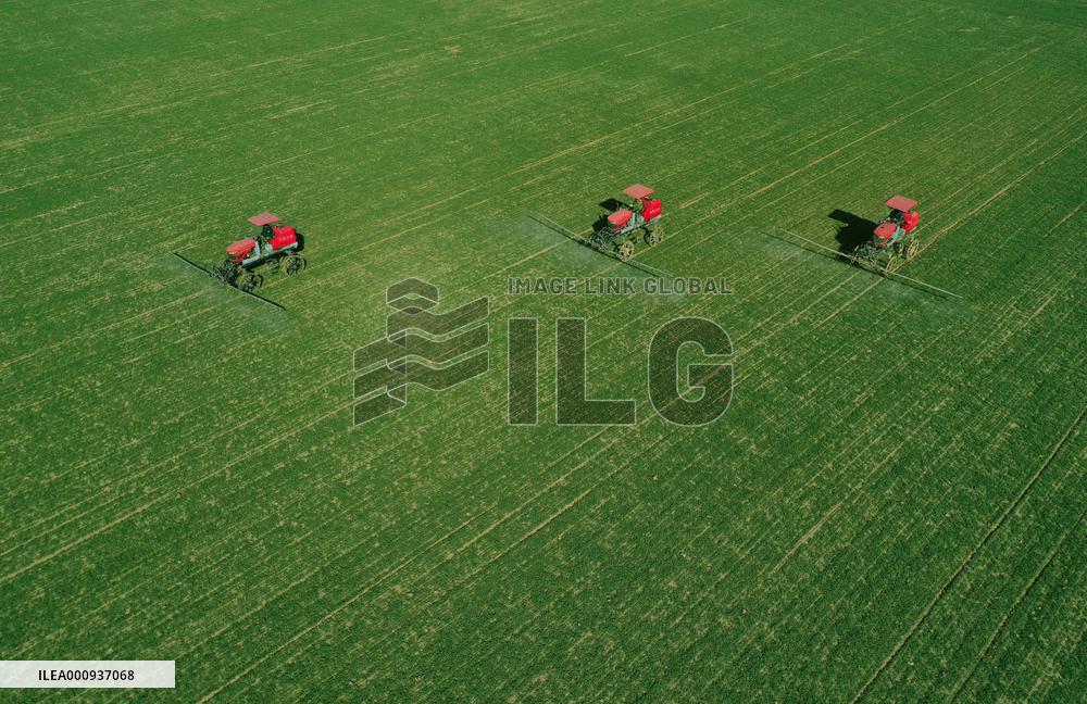 CHINA-SPRING-SCENERY (CN)