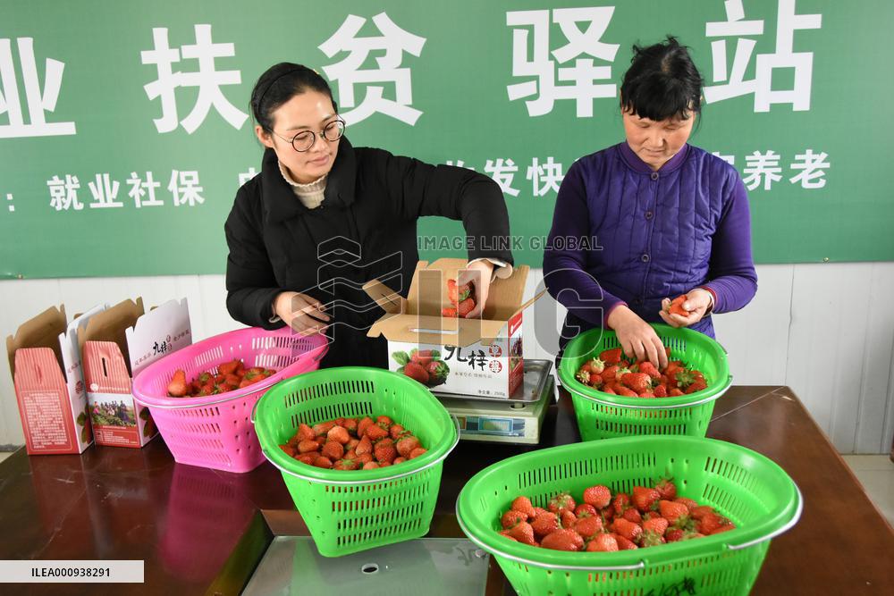 CHINA-ANHUI-NPC DEPUTY-RURAL VITALIZATION (CN)