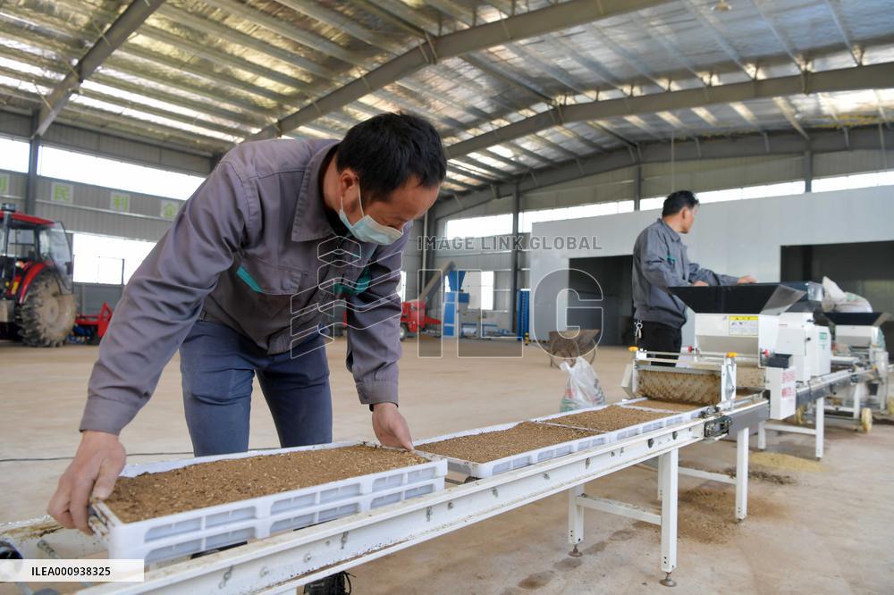 CHINA-JIANGXI-NANCHANG-SMART FARM (CN)