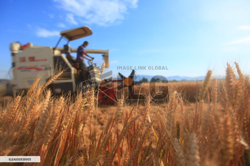 Xinhua Headlines-Xi Focus: Key takeaways from China's crucial political gathering