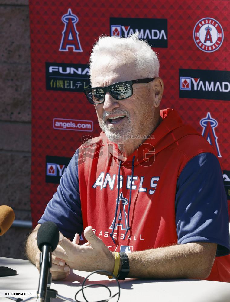 Baseball: MLB spring training