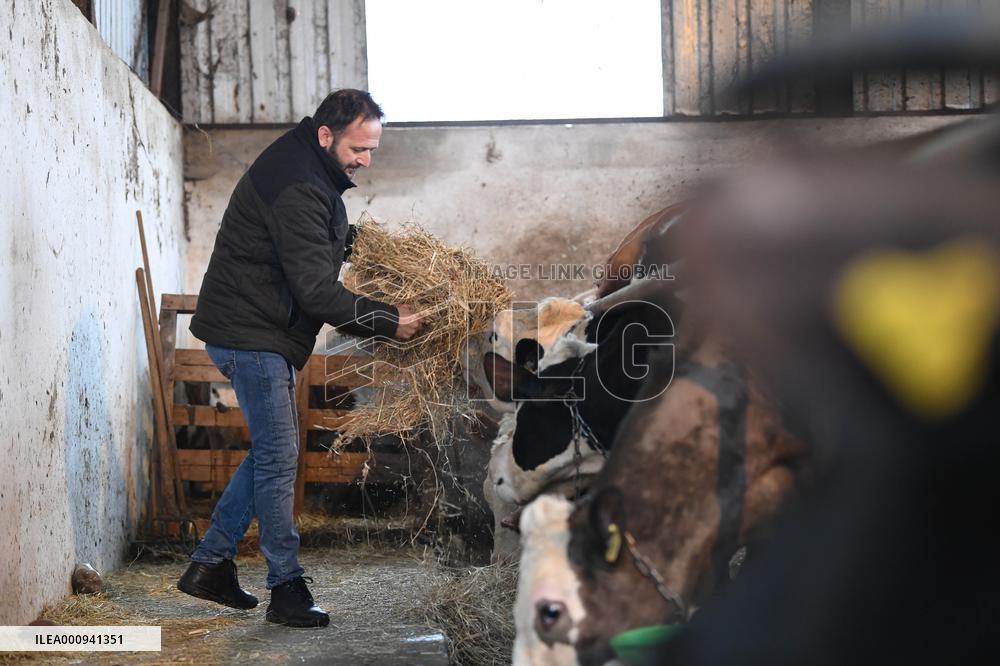 TURKEY-ISTANBUL-INFLATION-CATTLE RAISERS