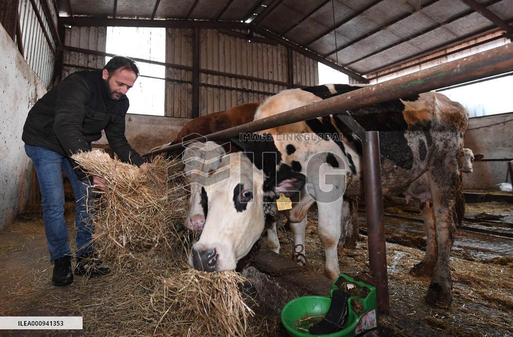 TURKEY-ISTANBUL-INFLATION-CATTLE RAISERS