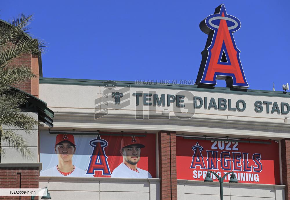 Baseball: MLB spring training