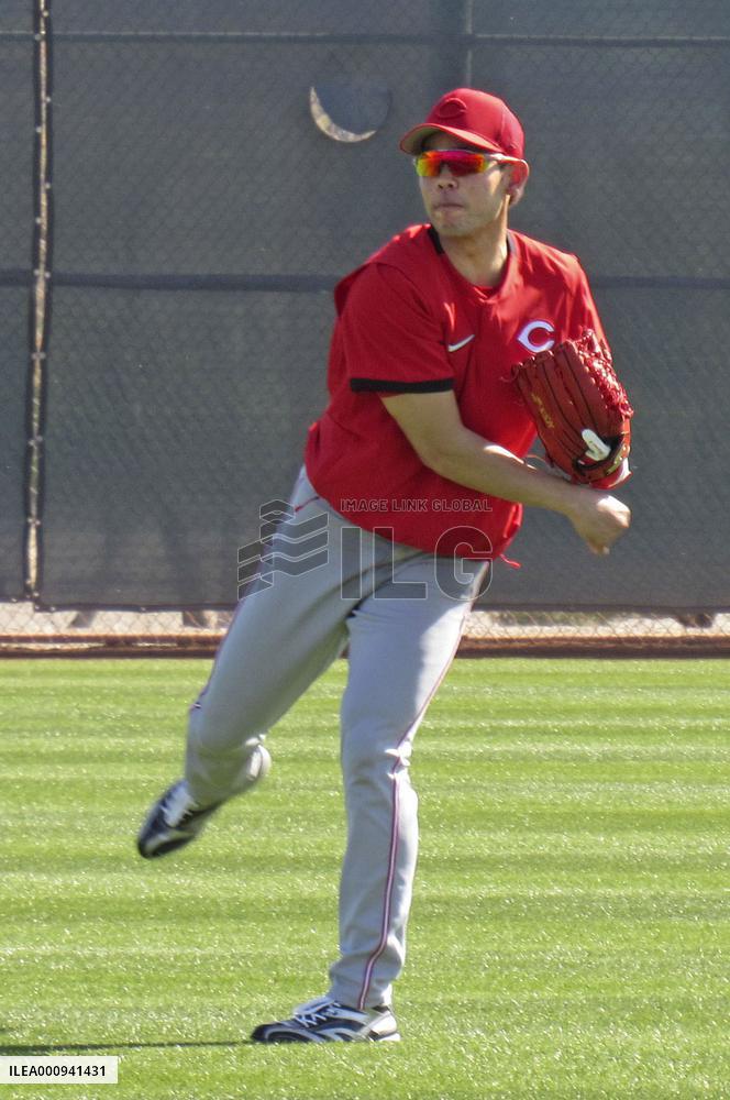 Baseball: MLB spring training