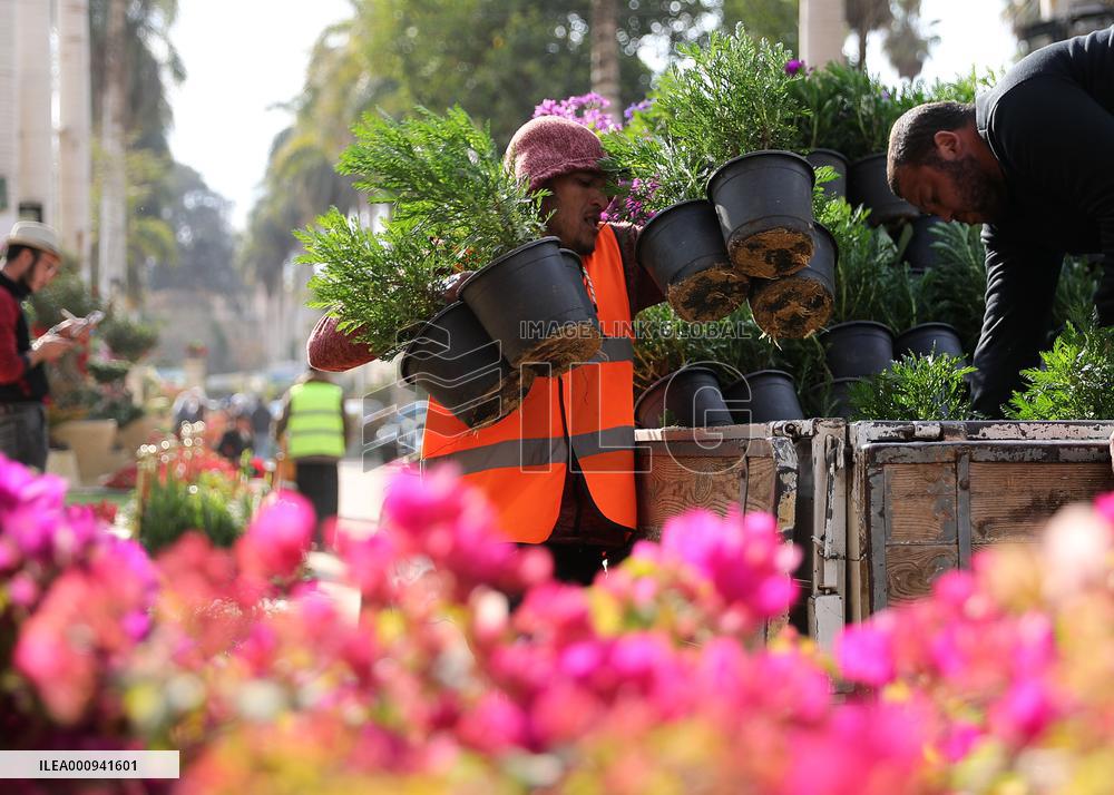 EGYPT-CAIRO-SPRING