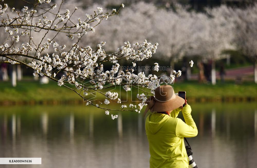 #CHINA-SPRING-SCENERY-FARMING