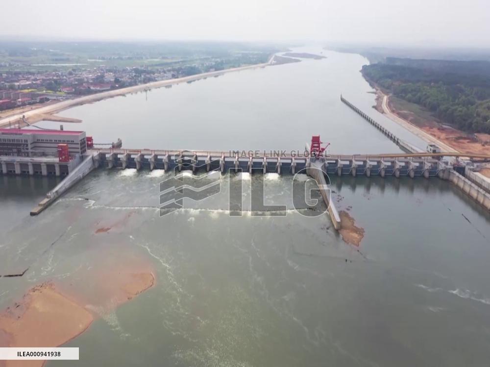 Rare ducks spotted near water control project in Jiangxi, China