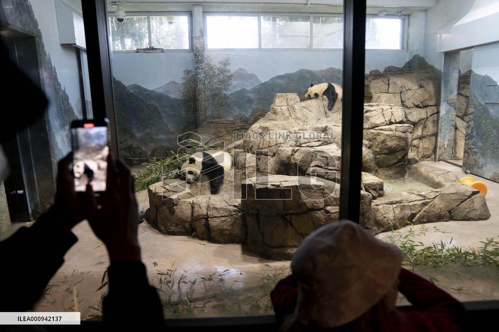 U.S.-WASHINGTON, D.C.-SMITHSONIAN'S NATIONAL ZOO-GIANT PANDA PROGRAM-50TH ANNIVERSARY