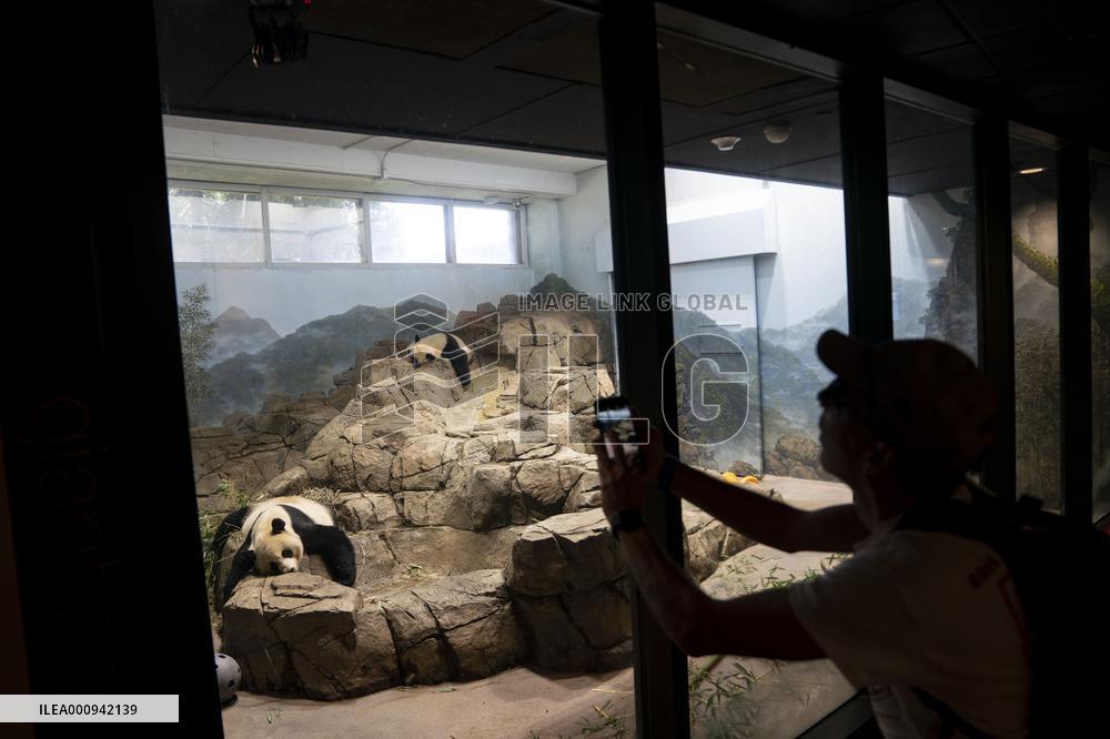 U.S.-WASHINGTON, D.C.-SMITHSONIAN'S NATIONAL ZOO-GIANT PANDA PROGRAM-50TH ANNIVERSARY