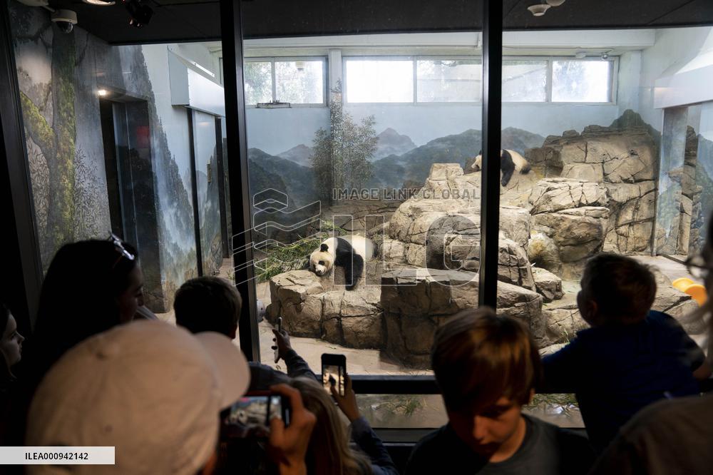 U.S.-WASHINGTON, D.C.-SMITHSONIAN'S NATIONAL ZOO-GIANT PANDA PROGRAM-50TH ANNIVERSARY