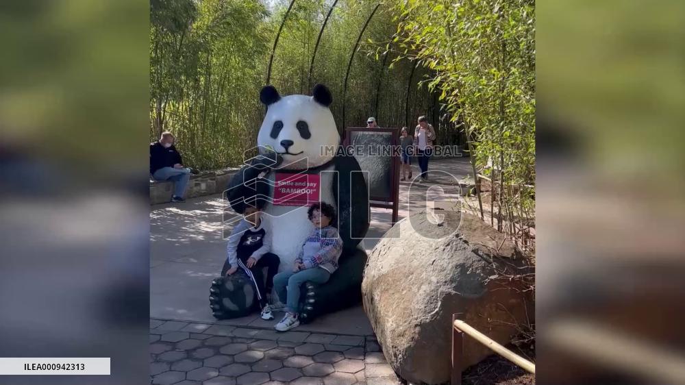 Smithsonian's National Zoo kicks off celebration of giant panda program's 50th anniversary