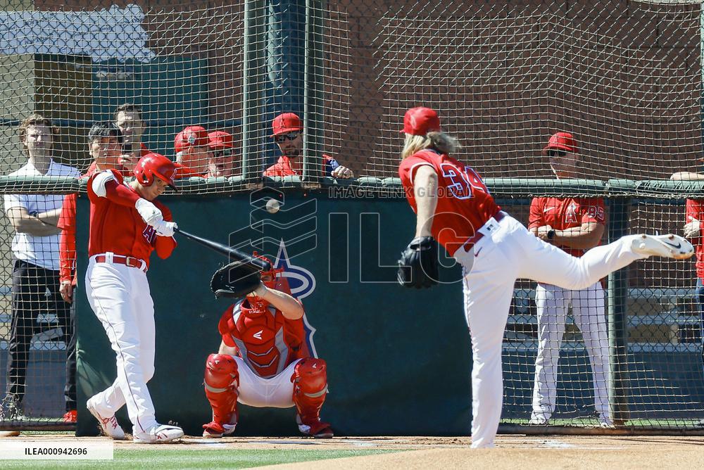 Baseball: MLB spring training