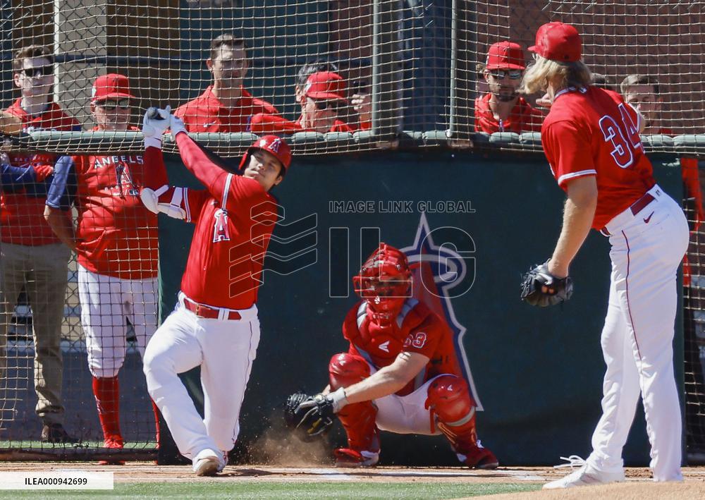 Baseball: MLB spring training