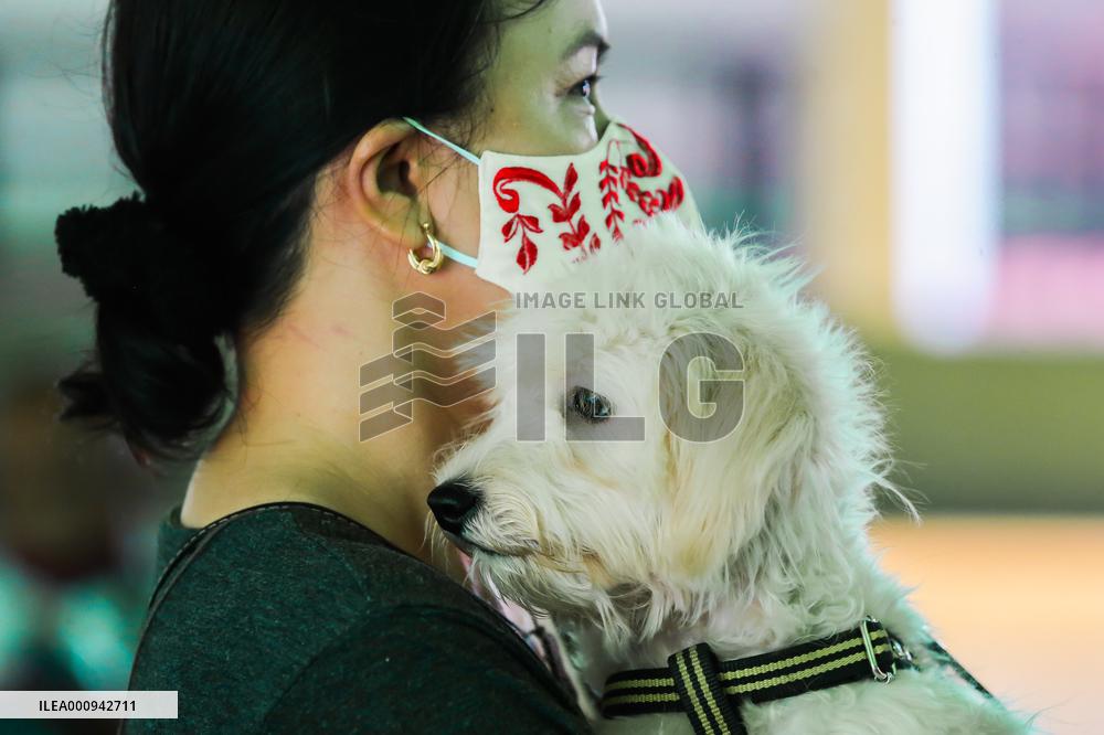 PHILIPPINES-QUEZON CITY-PETS-FREE RABIES VACCINATION