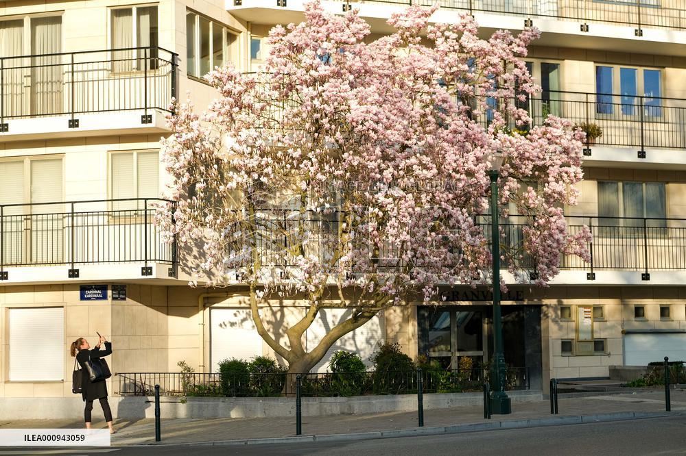 BELGIUM-BRUSSELS-SPRING-SCENERY