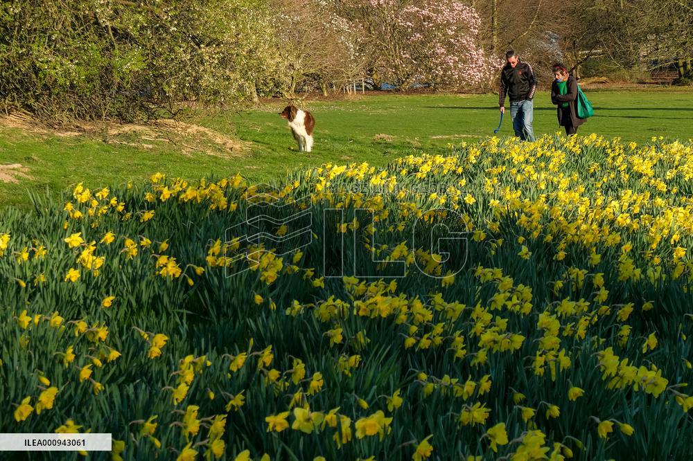 BELGIUM-BRUSSELS-SPRING-SCENERY