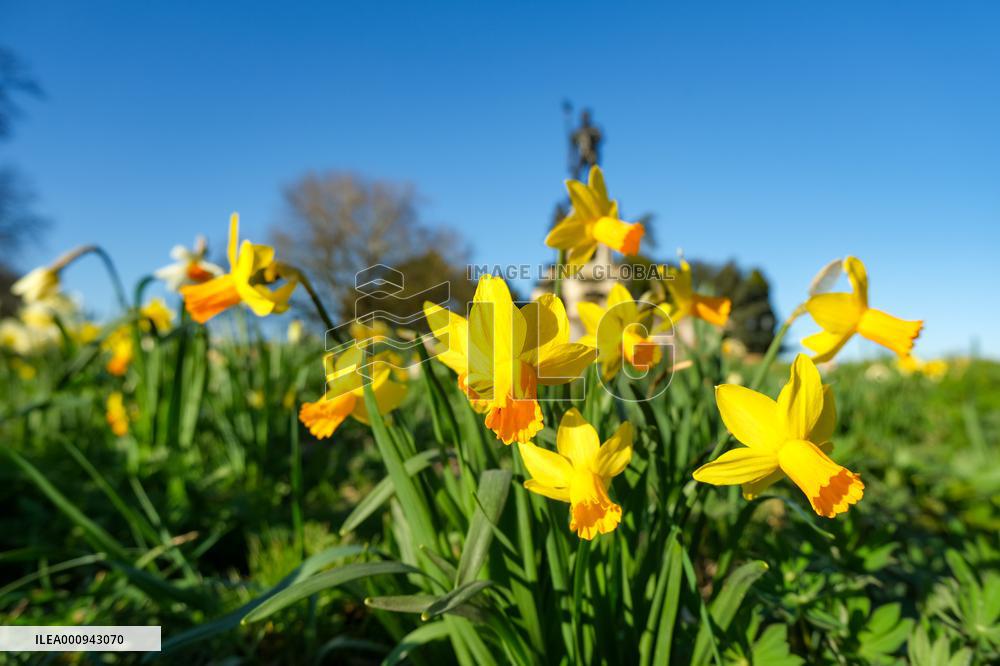 BELGIUM-BRUSSELS-SPRING-SCENERY