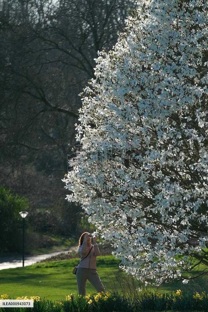 BELGIUM-BRUSSELS-SPRING-SCENERY