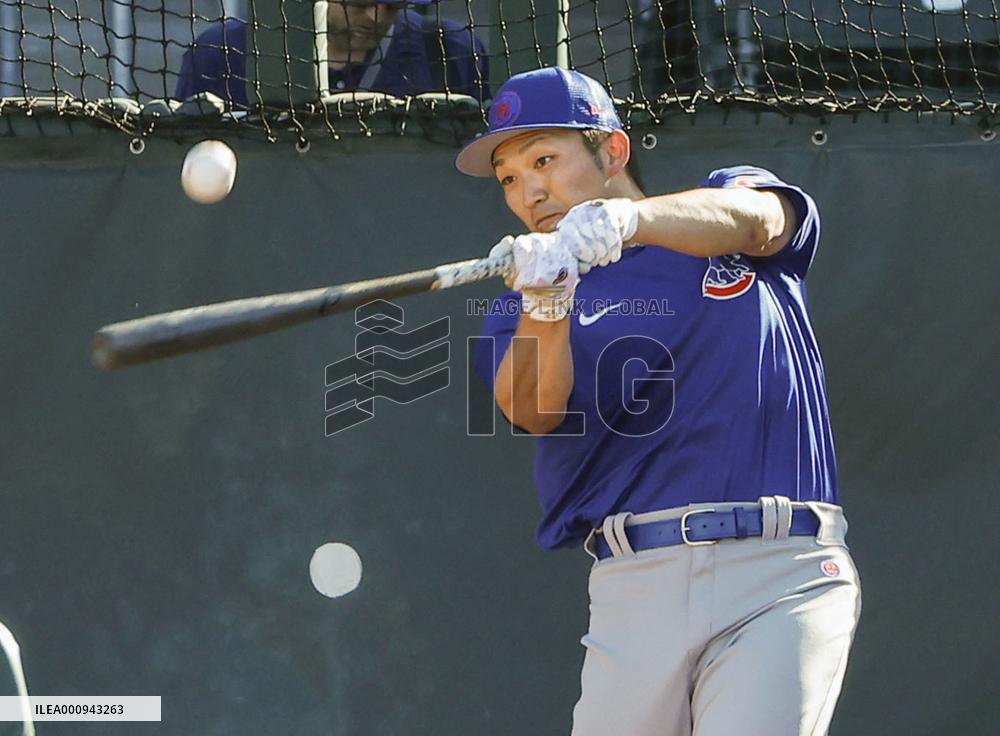 Cubs, Seiya Suzuki agree to 5-year deal