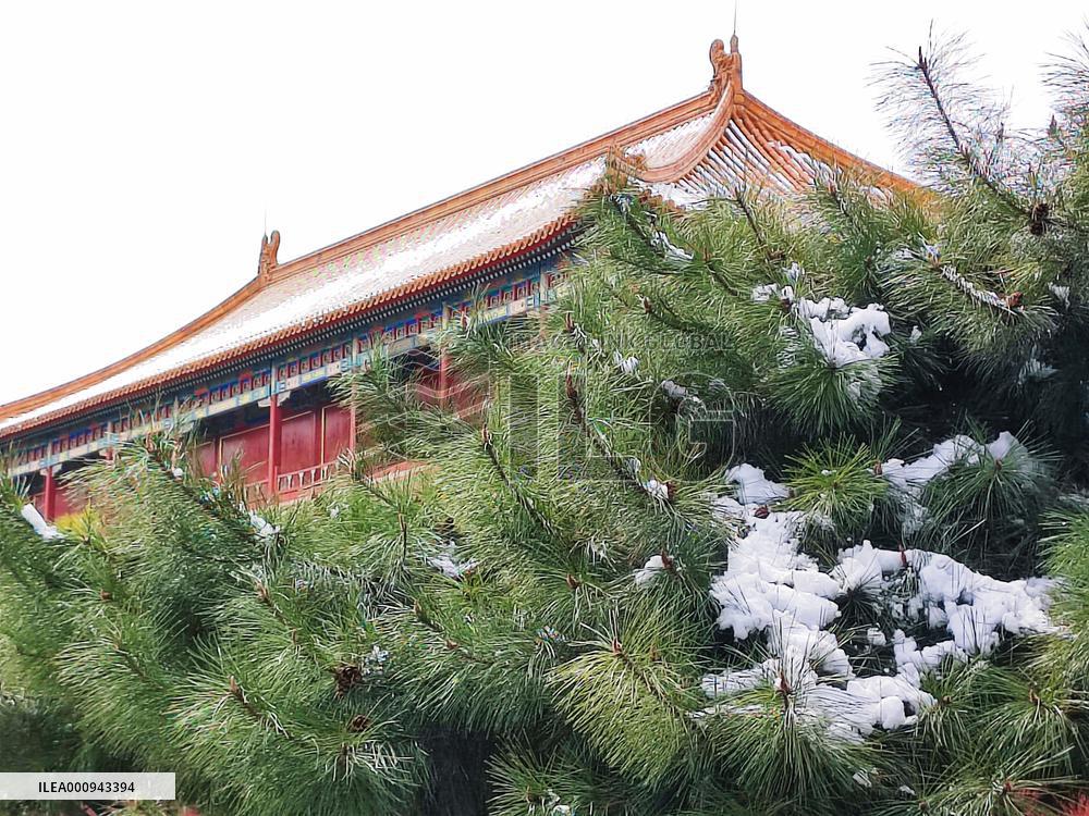 CHINA-BEIJING-SNOW SCENERY (CN)