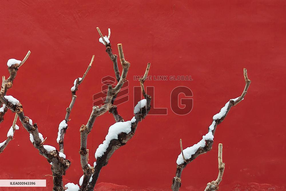 CHINA-BEIJING-SNOW SCENERY (CN)