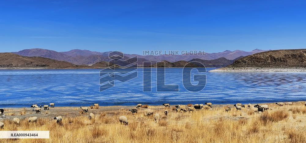 CHINA-TIBET-YAMZBOG YUMCO LAKE-SCENERY (CN)