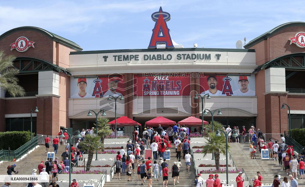 Baseball: MLB spring training