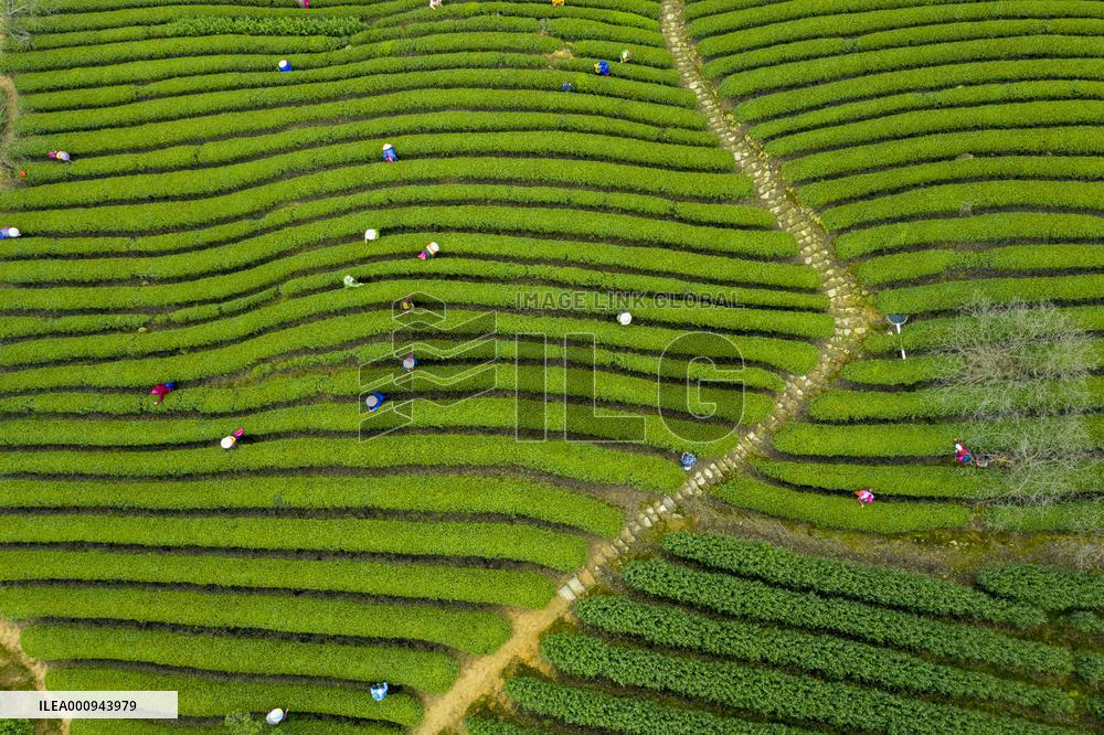 #CHINA-SPRING-FARMING (CN)