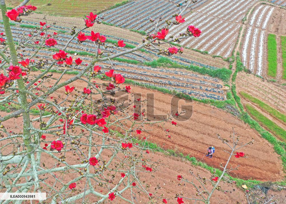 CHINA-SPRING-FARMING (CN)
