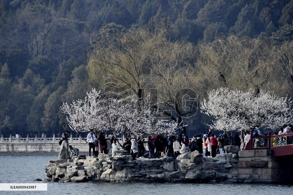 CHINA-SPRING-SCENERY (CN)