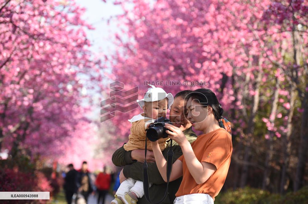 #CHINA-SPRING-SCENERY (CN)