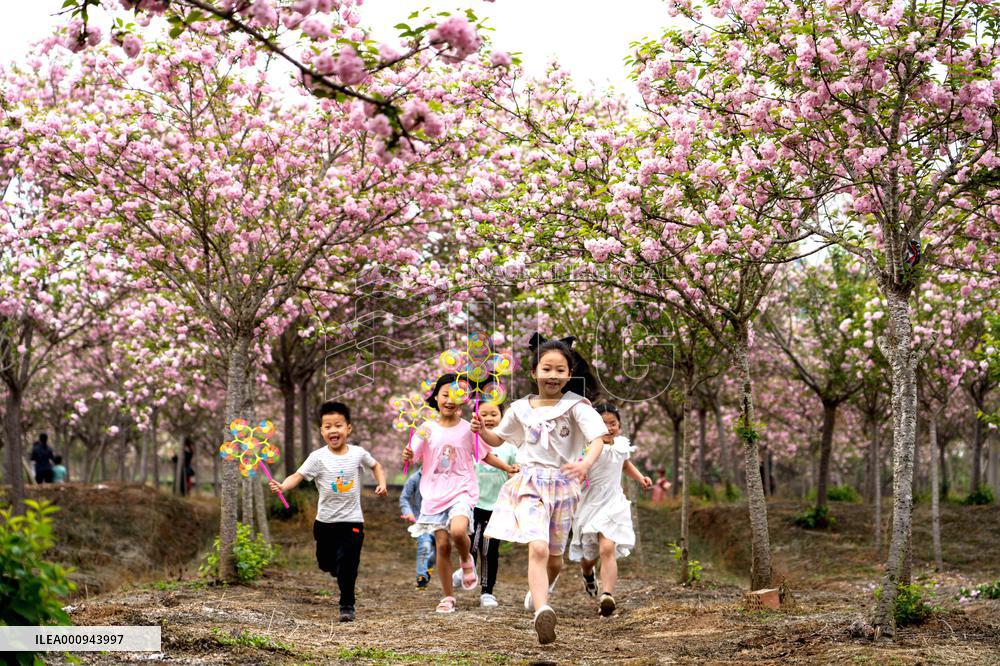 #CHINA-SPRING-SCENERY (CN)