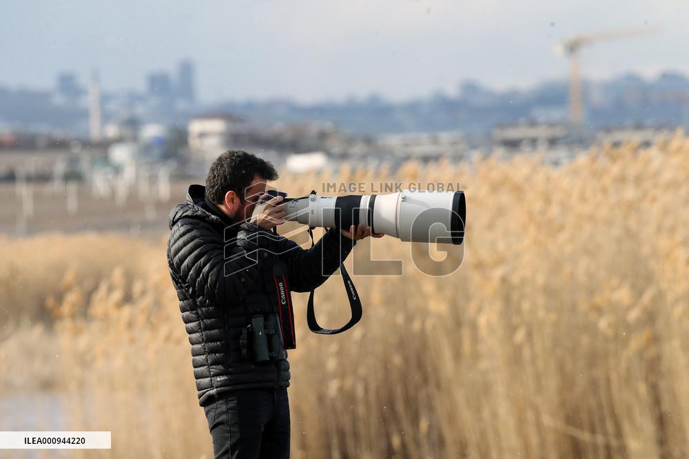 TURKEY-ANKARA-BIRD WATCHER
