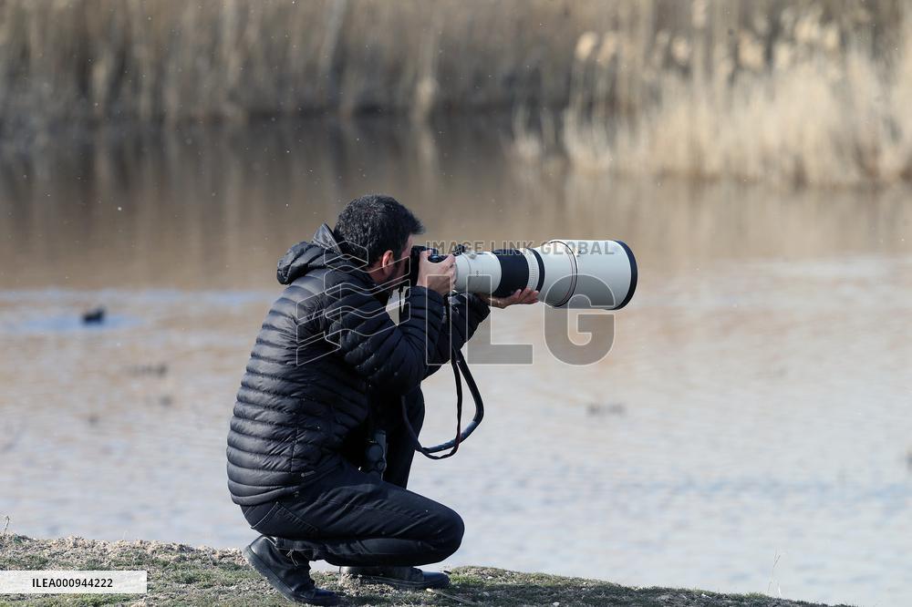 TURKEY-ANKARA-BIRD WATCHER